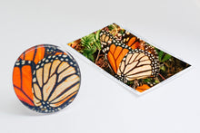 Cargar imagen en el visor de la galería, Anillo Alas de Mariposa Monarca