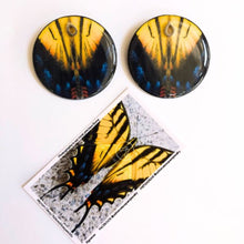 Load image into Gallery viewer, Maxi Aretes Redondos Amarillos Foto de Mariposa Swallowtail