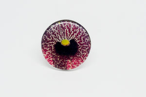 Maxi Anillo Flor Aristolochia - La flor del Nacimiento
