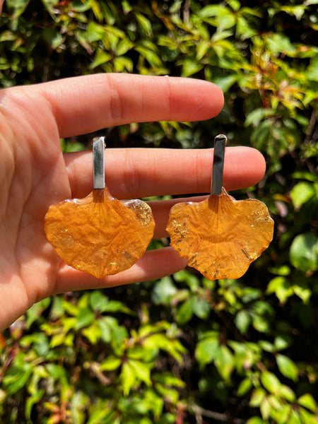 Aretes de Pétalos de Framboyán