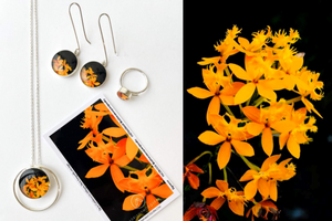 Set Orquídea Estrella de Fuego